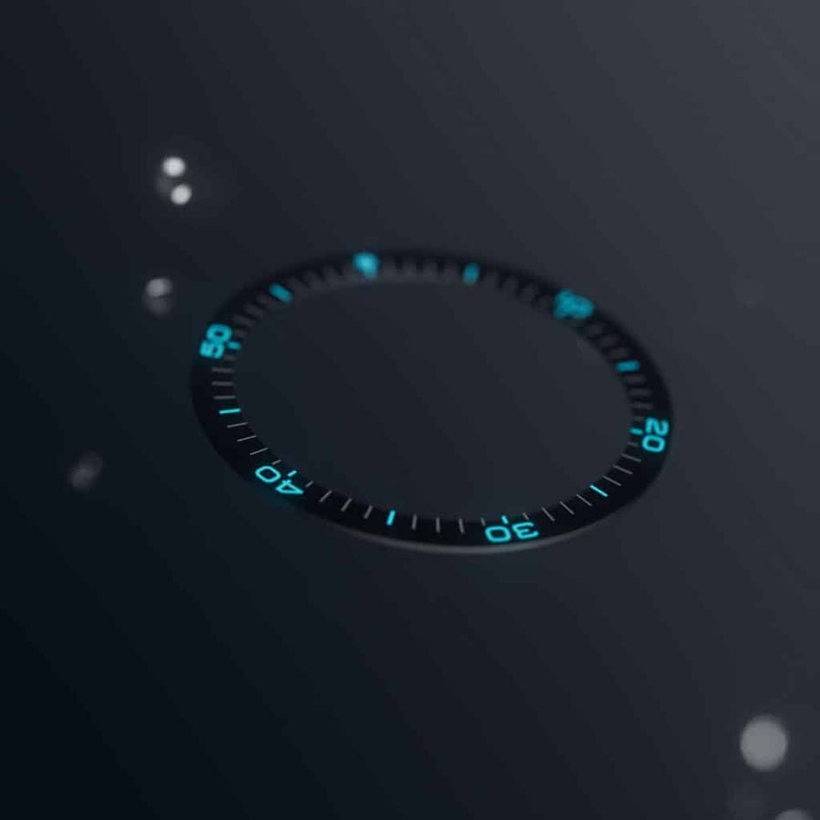Matte ceramic bezel insert